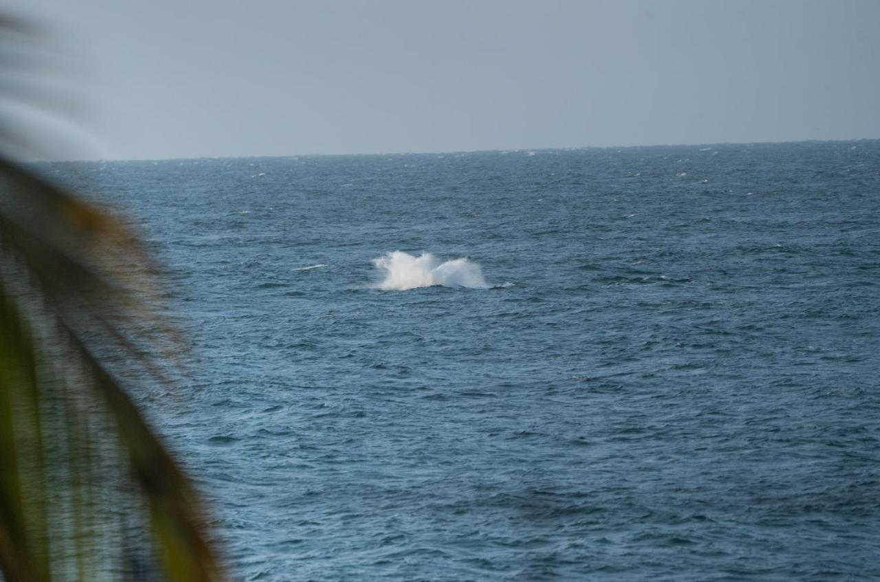 Los Corales Mancora Bagian luar foto