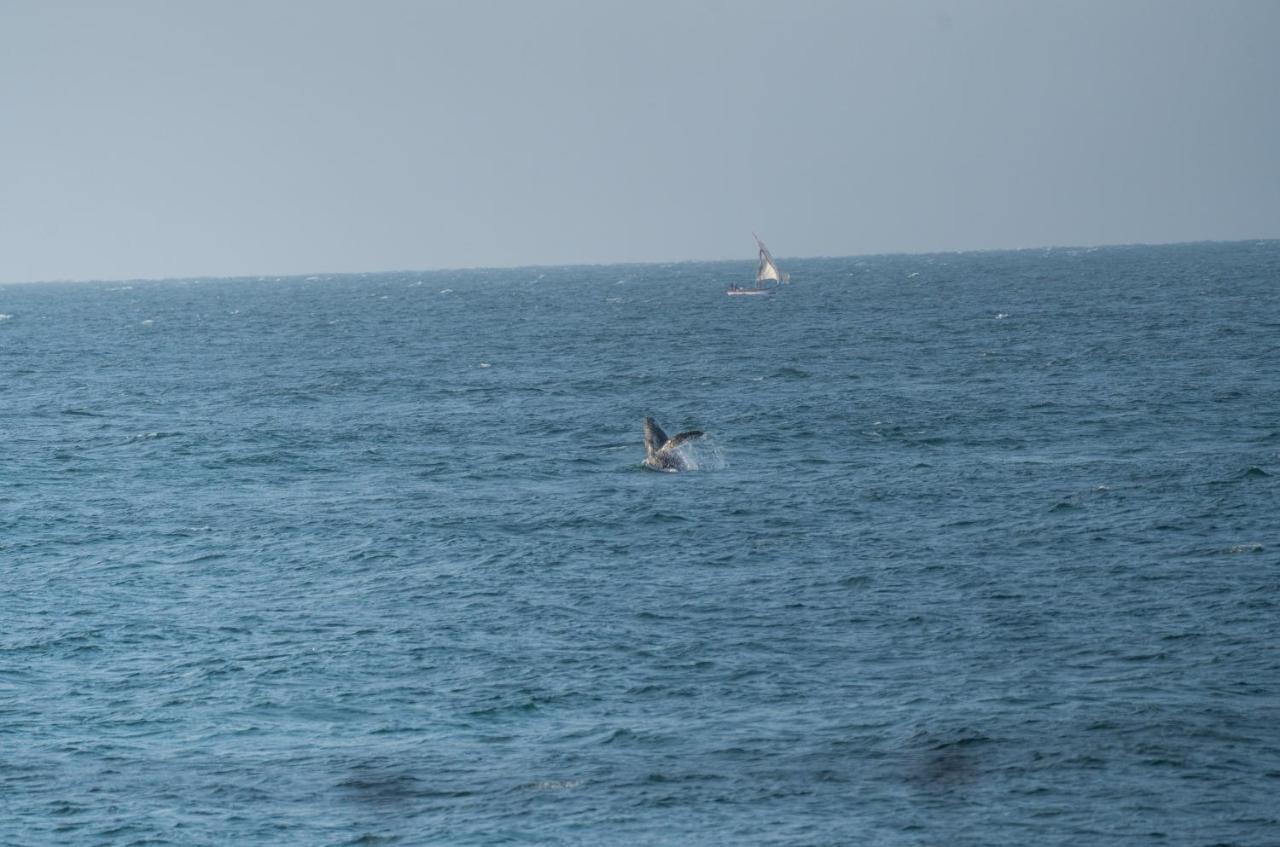 Los Corales Mancora Bagian luar foto